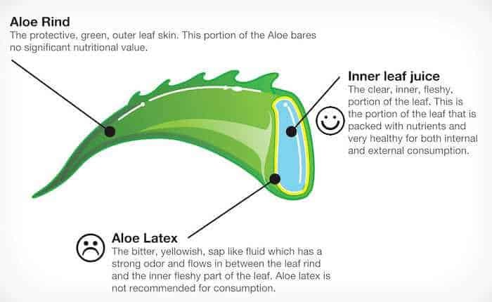 Properties Of Aloe Vera