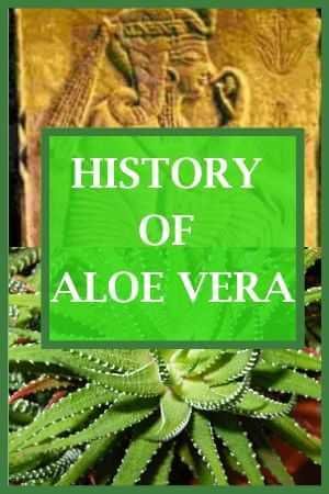 History Of Aloe Vera