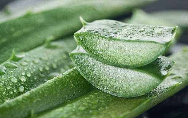 How to Choose Best Aloe Vera Products