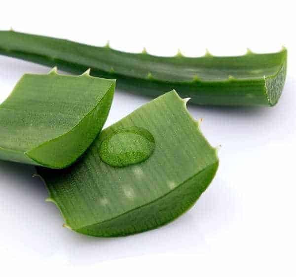 5 Amazing Benefits Of Aloe Vera For Digestion Aloe Guide 6910