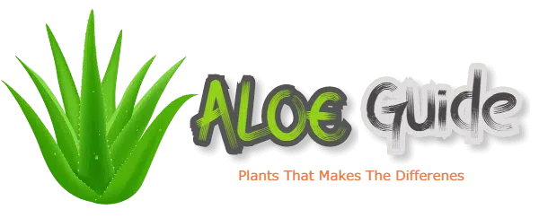 Aloe Guide