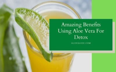 7 Amazing Benefits Using Aloe Vera For Detox