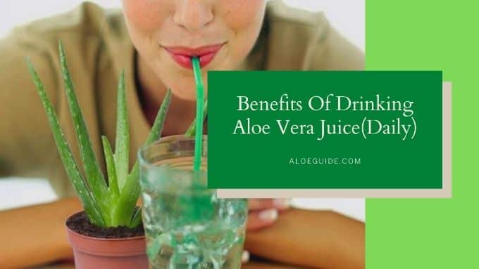 Drinking Aloe Vera Juice
