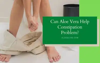Aloe Vera For Constipation [Does it Really Works?]