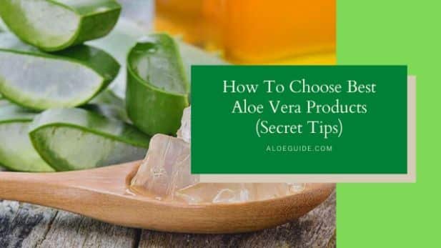 10 Skills How To Choose Best Aloe Vera Products (That Worth Your investment)