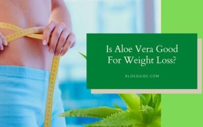 The secret of Using Aloe Vera For Weight Loss [Update:2023]