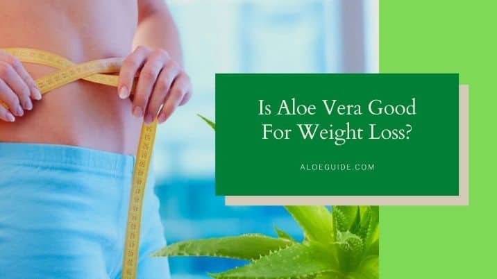 Aloe Vera For Weight Loss