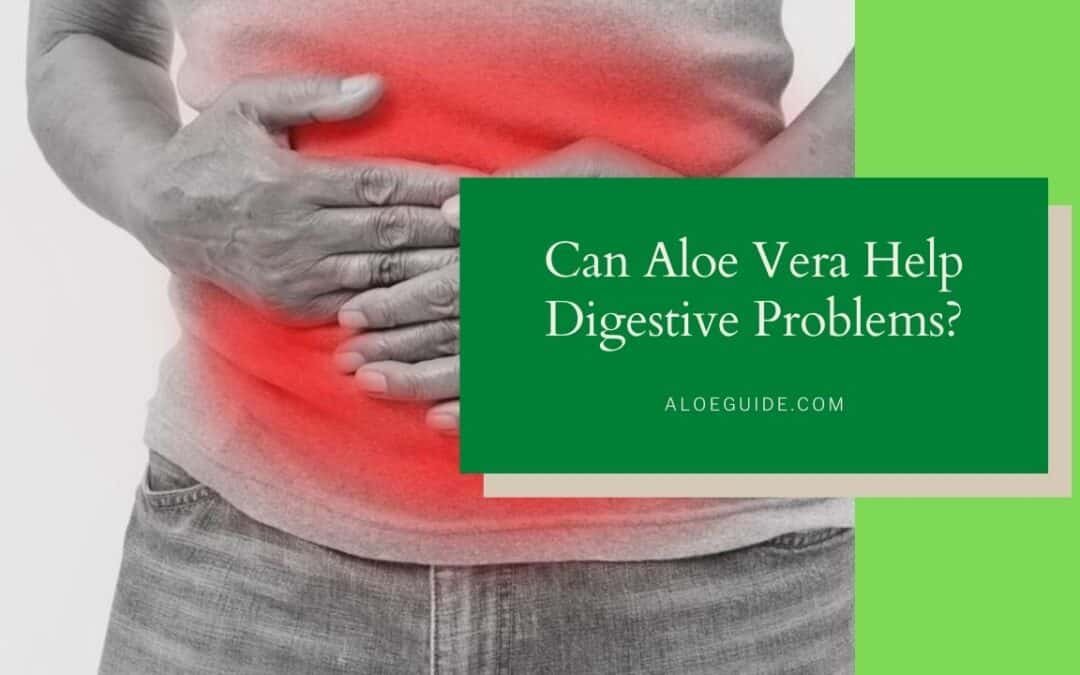 5 Amazing Benefits Of Aloe Vera For Digestion