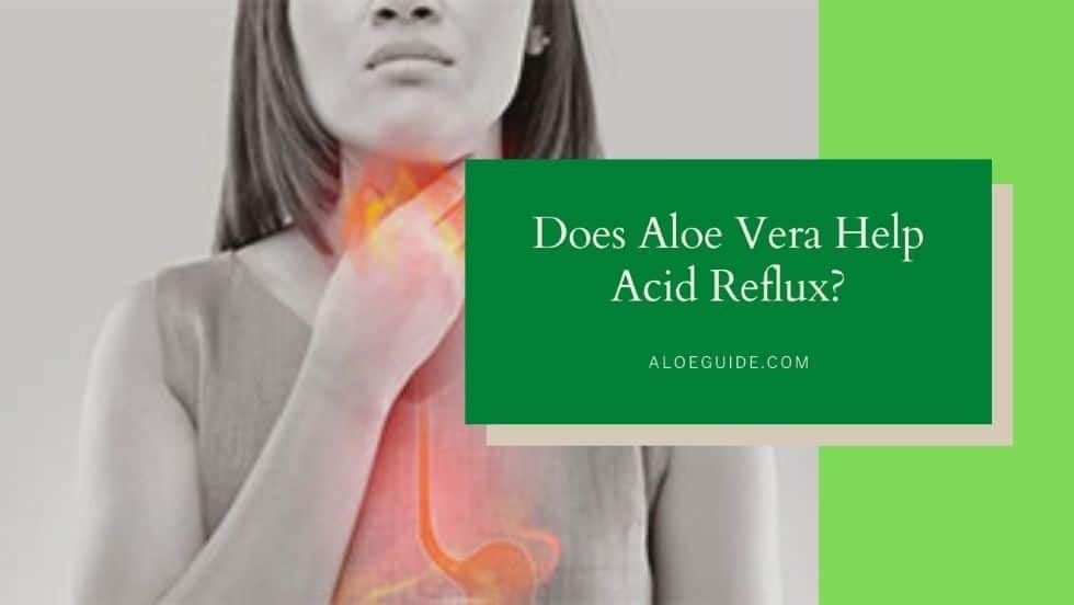 Aloe Vera For Acid Reflux