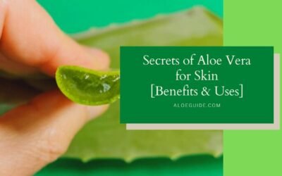 8 Best Uses Aloe Vera For Skin [Shine & Glow]
