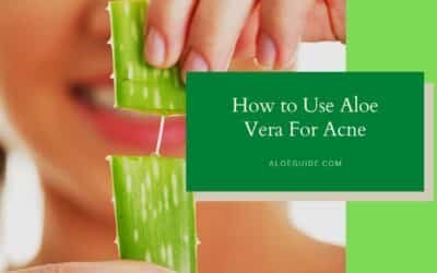 Aloe Vera For Acne Scars [Tips:2021]
