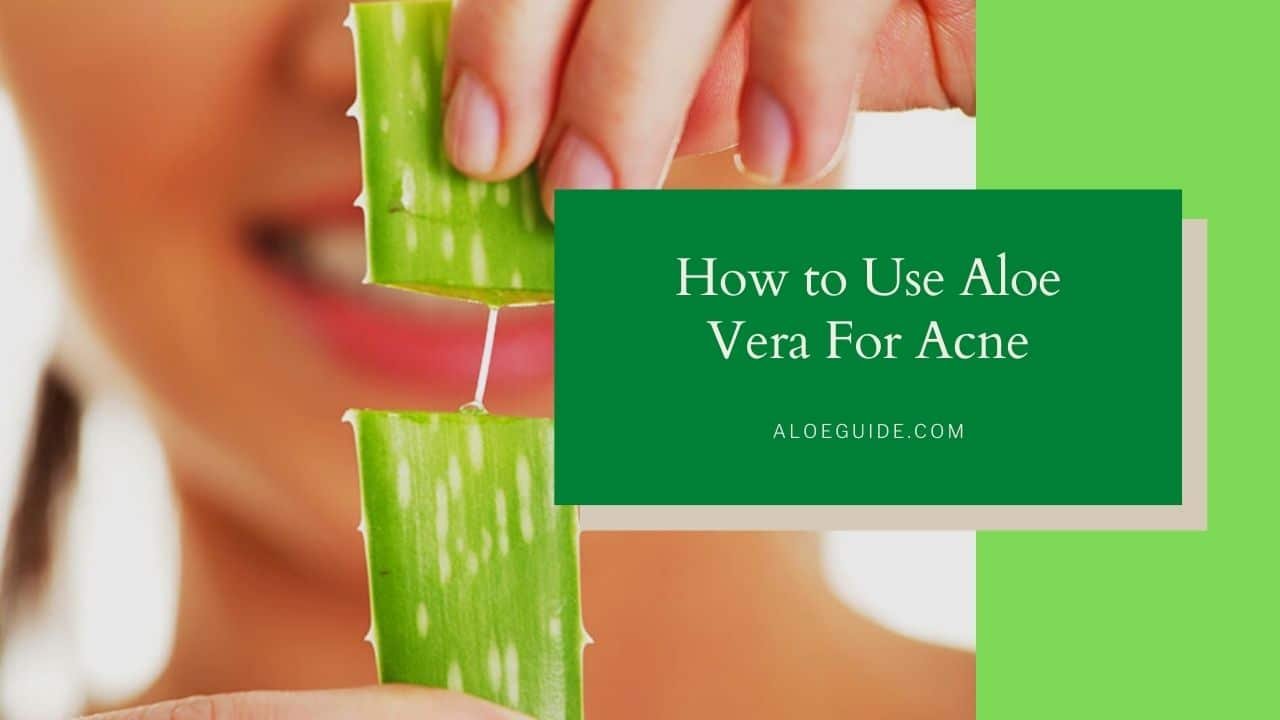 Aloe Vera For Acne