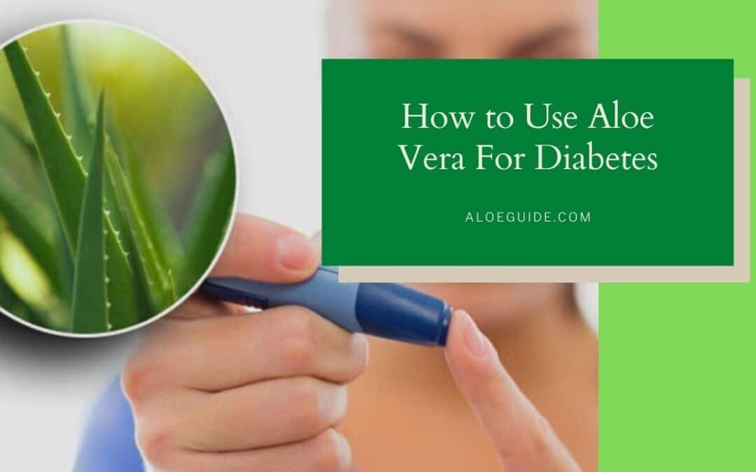 Secret Of Aloe Vera For Diabetes [Benefits & Uses]