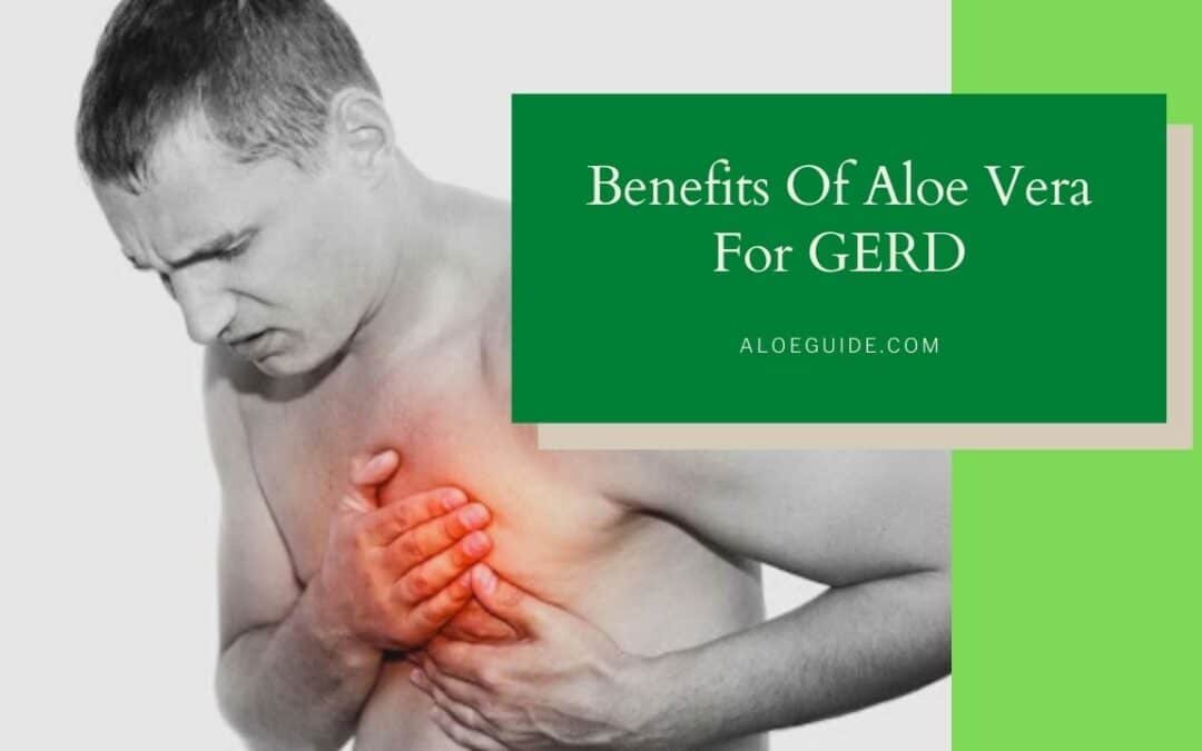 Aloe Vera For GERD [Benefits & Uses]