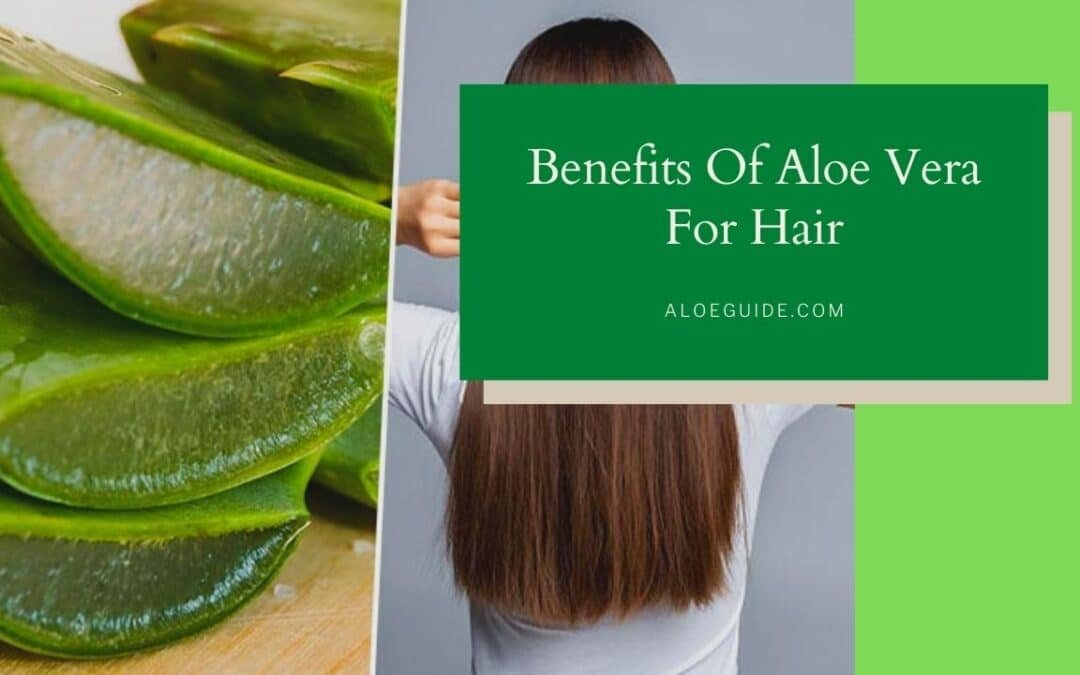 Benefits Of Using Aloe Vera For Hair
