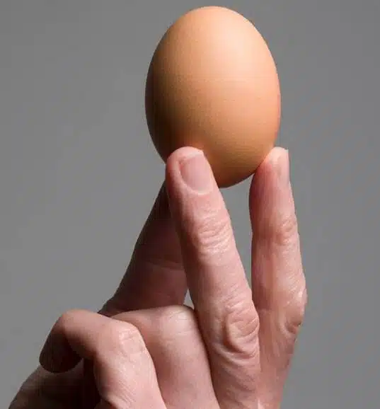Egg