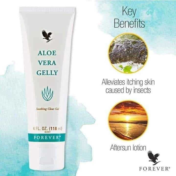 Forever Aloe Vera Gelly Review Benefits And Uses Aloe Guide 5208