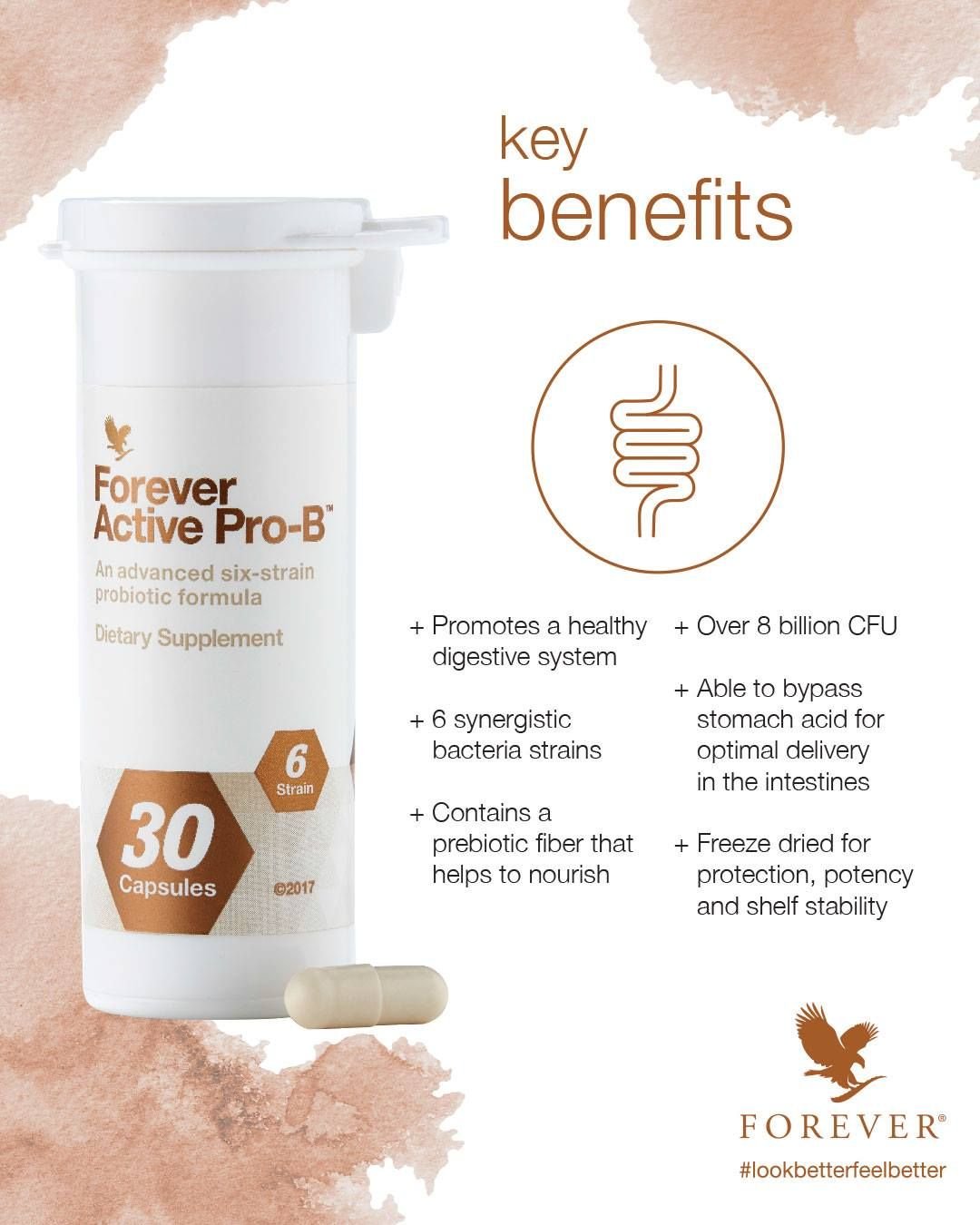 Forever Active ProBiotics Benefits