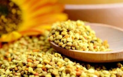 The Complete Guide to Bee Pollen [Buzzworthy Benefits]