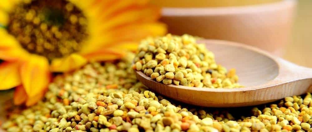 Health Benefits Of Bee Pollen